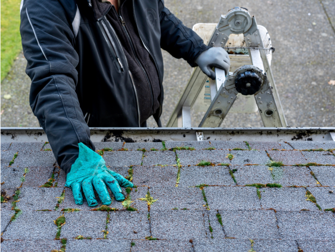 Roof Inspections